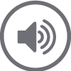 gray speaker icon